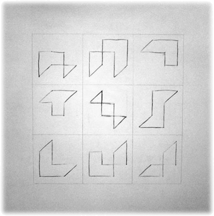 Cube Segments